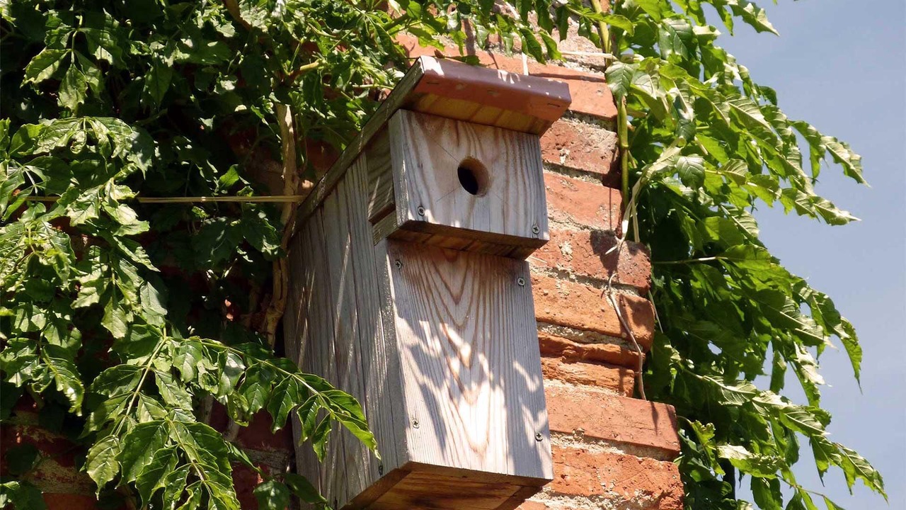 Photo of Outdoor in Lavalette