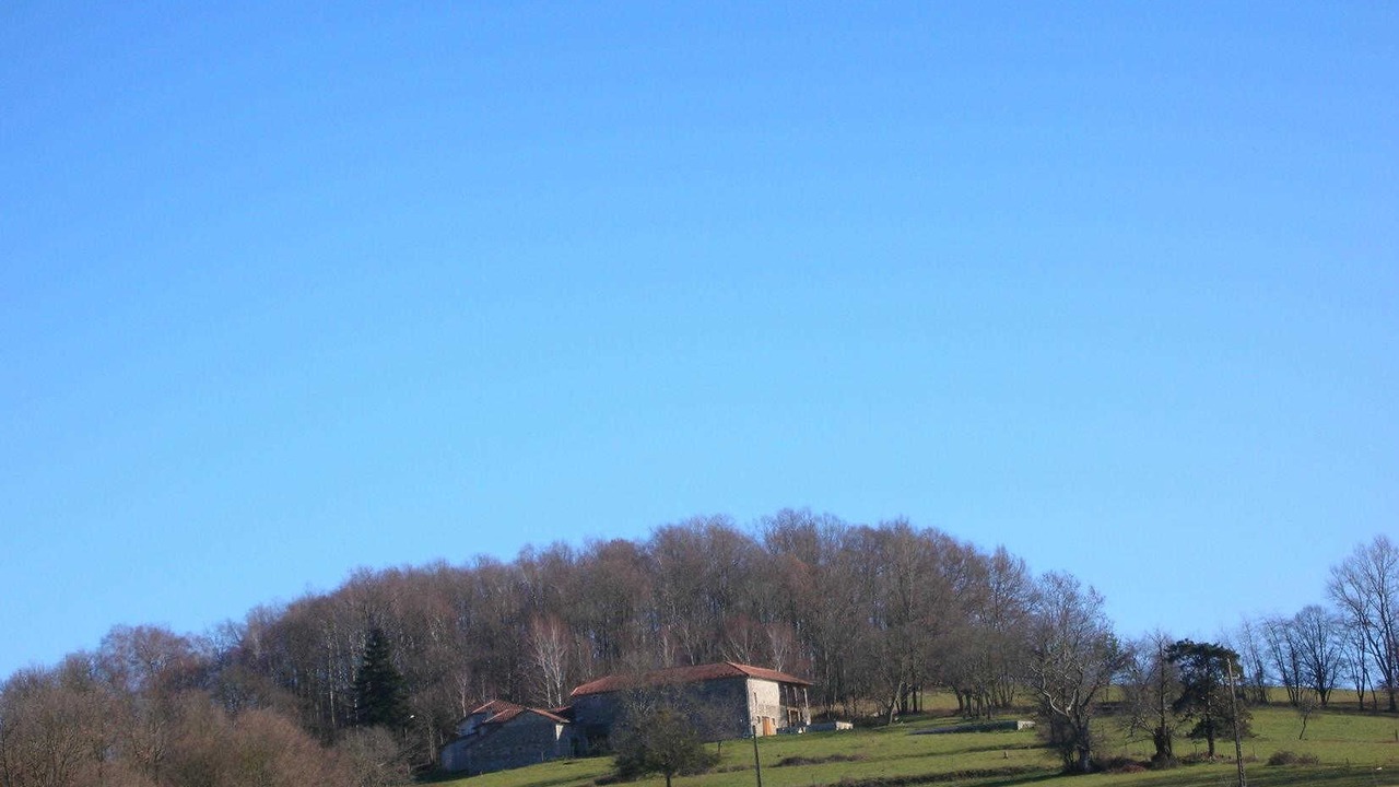 Photo of Others in Ganties