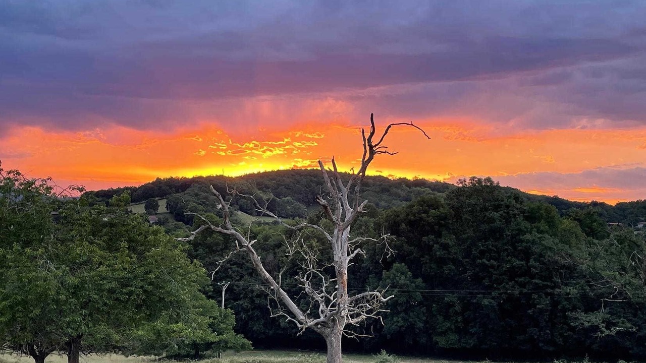 Photo of Others in Ganties