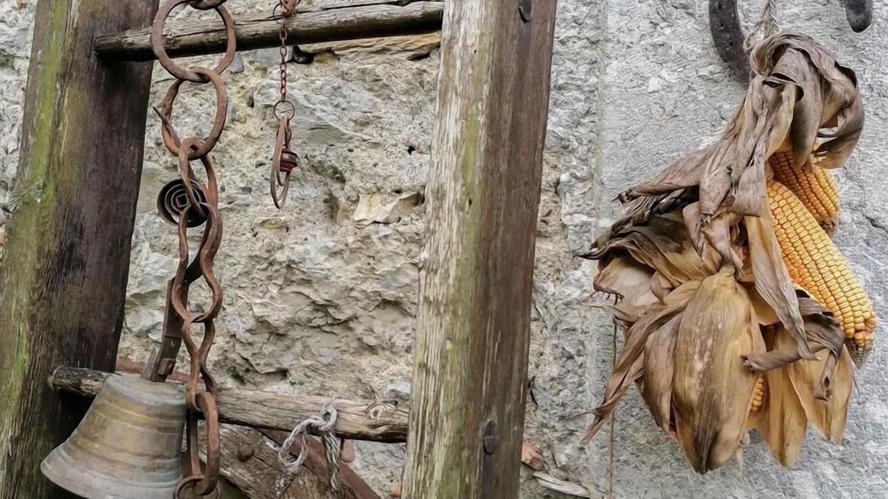 Photo of Outdoor in Barbazan