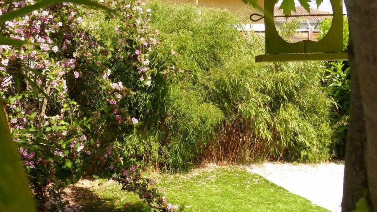 Photo of Outdoor in Plaisance-du-Touch