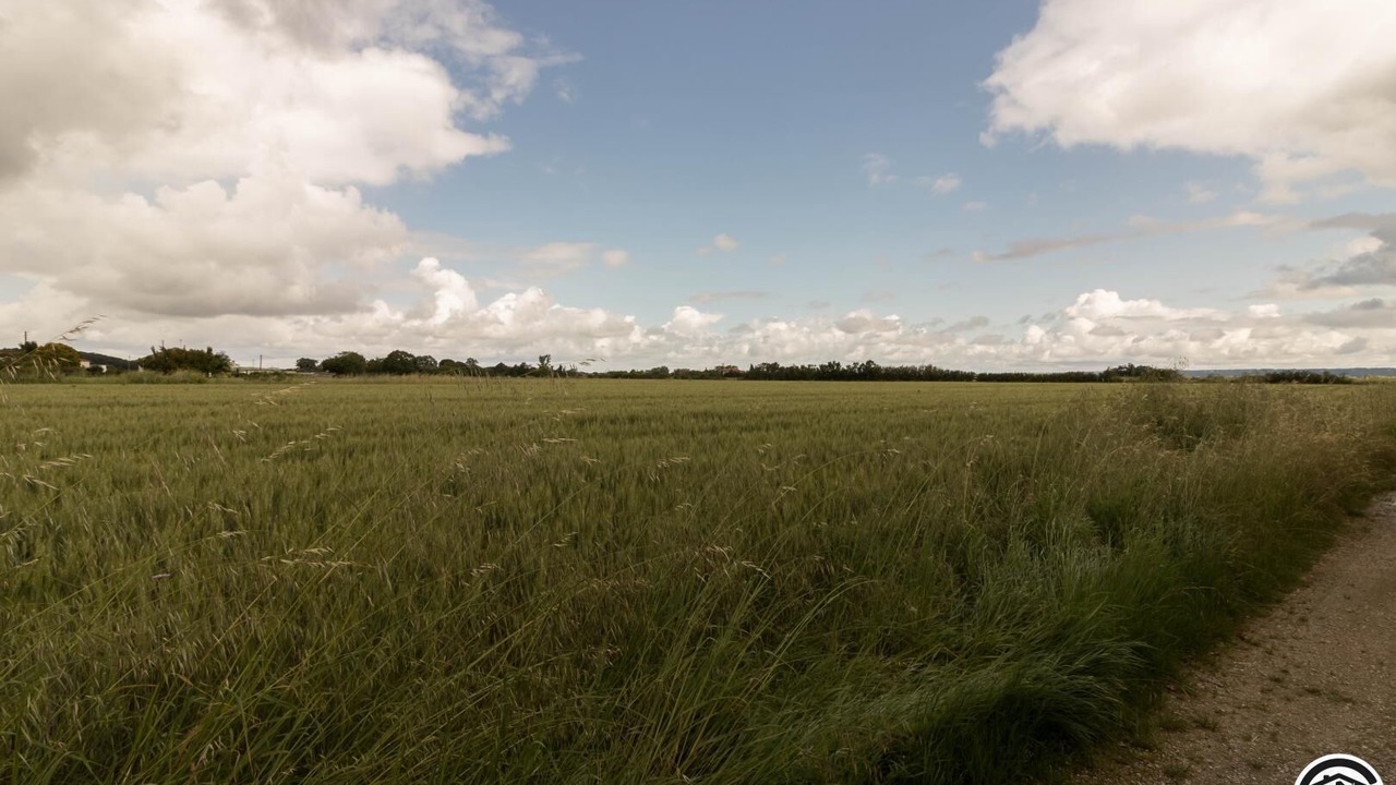 Photo of Others in Merville