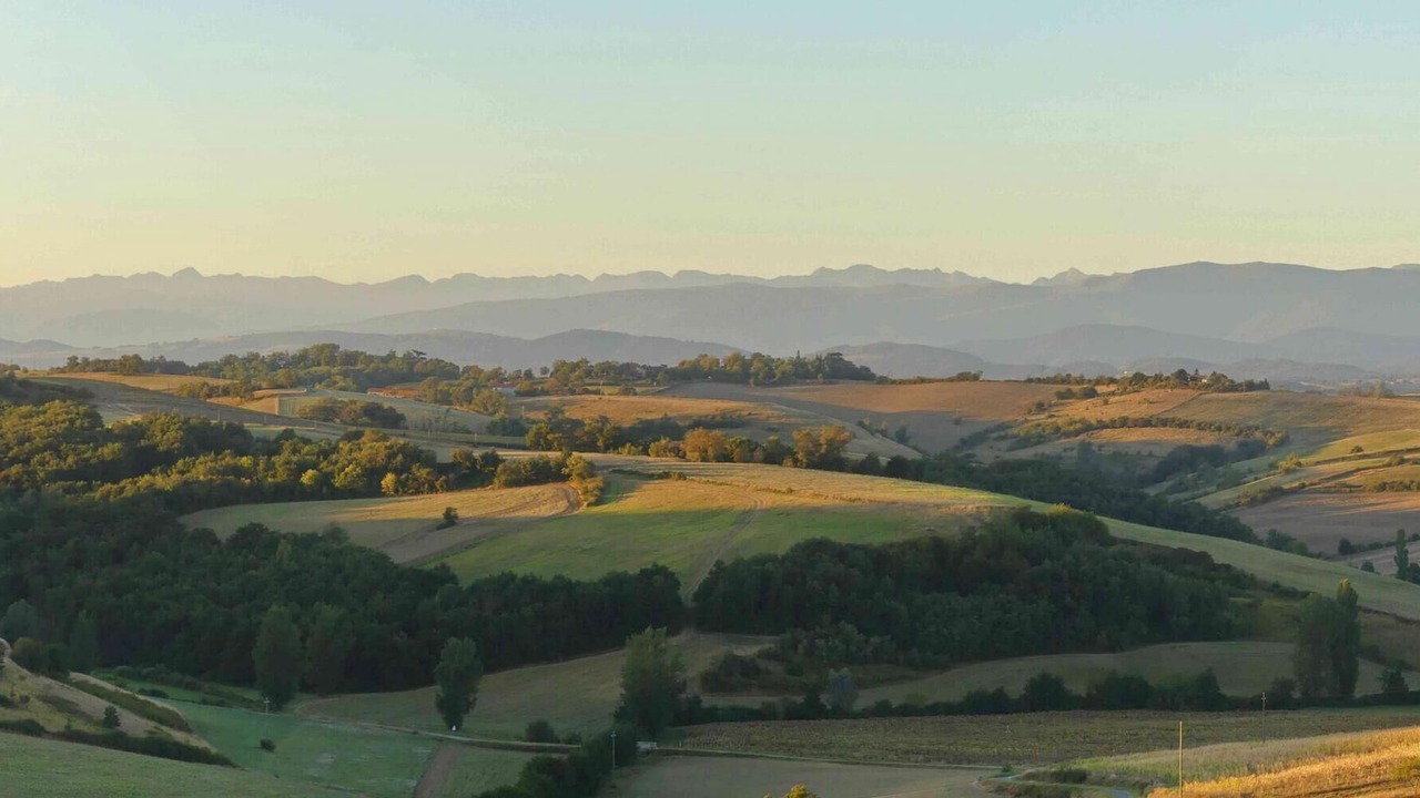 Photo of Others in Gaillac-Toulza