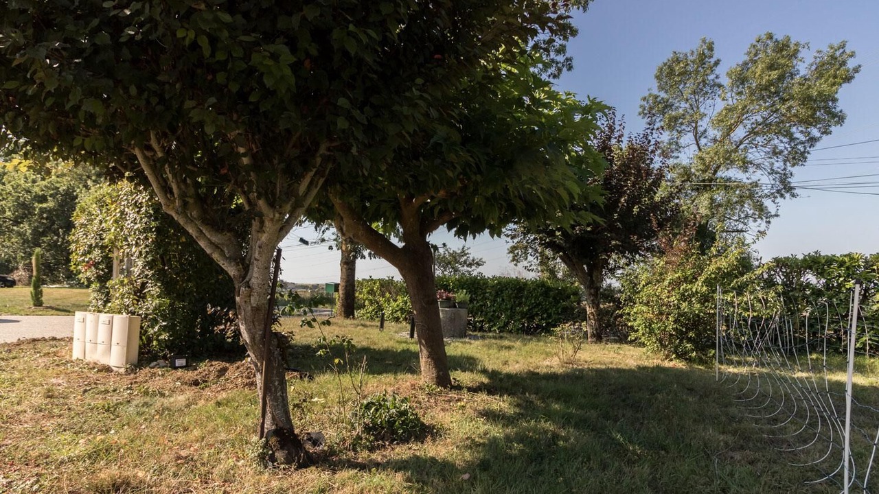 Photo of Outdoor in Caraman