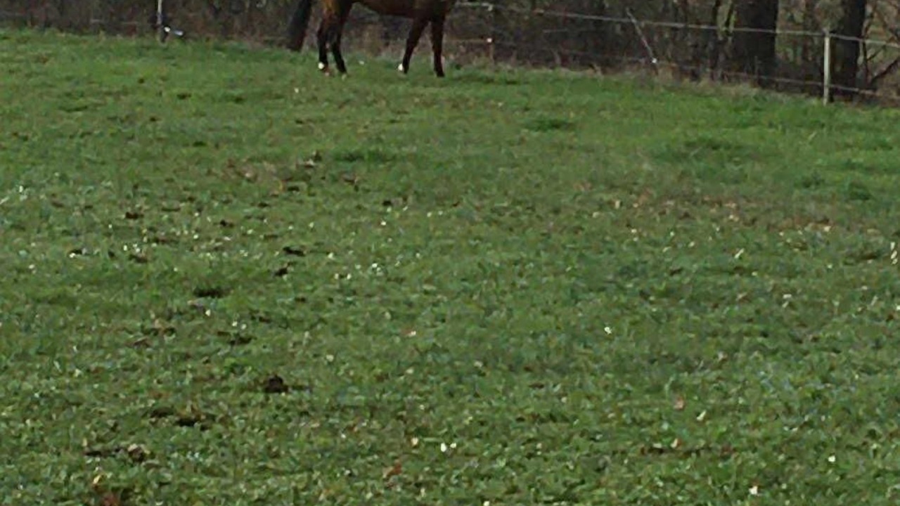 Photo of Others in Auragne