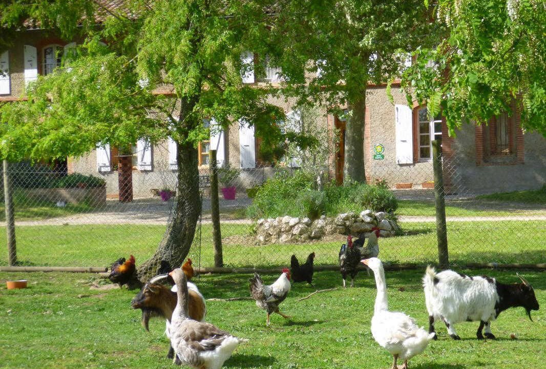 Photo of Outdoor in Villematier