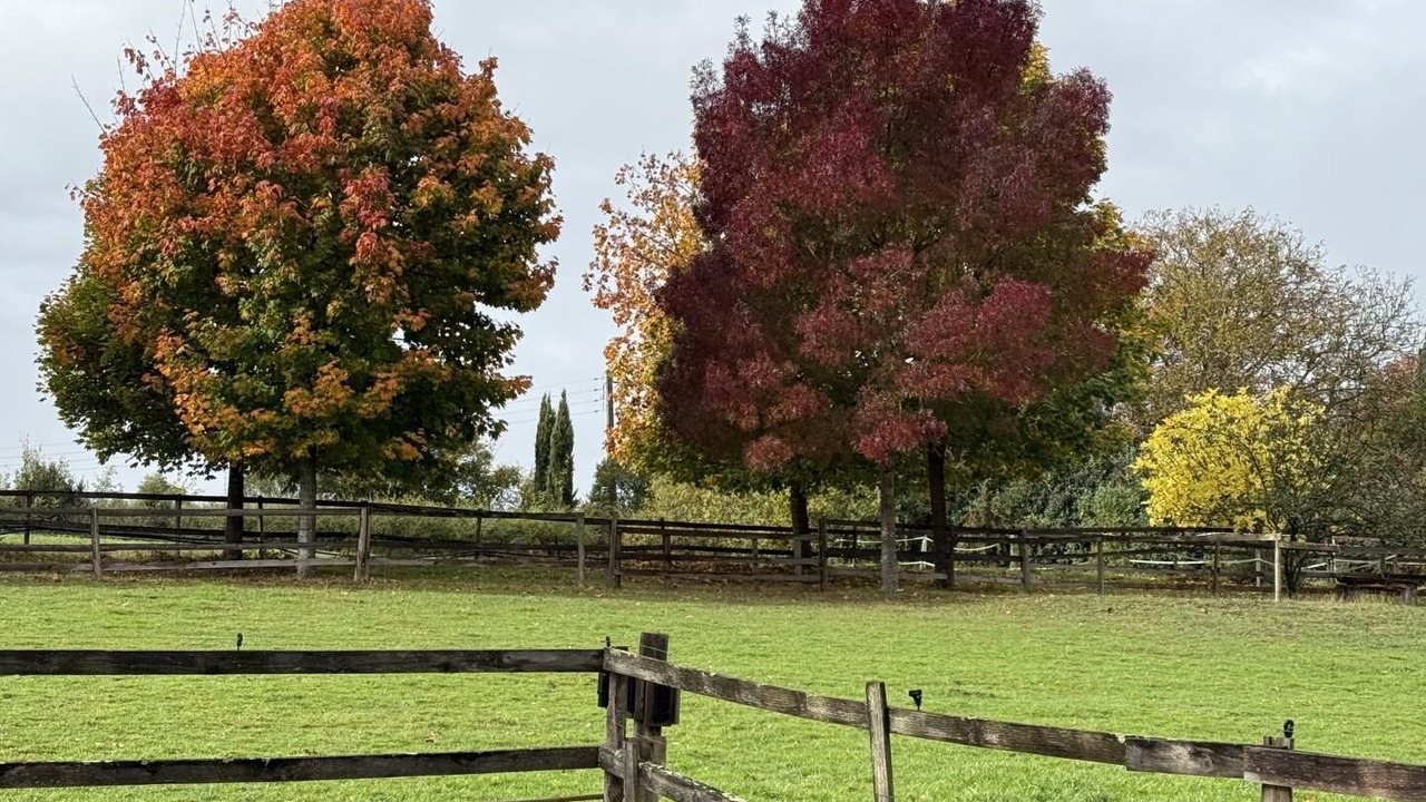 Photo of Outdoor in Pin-Balma
