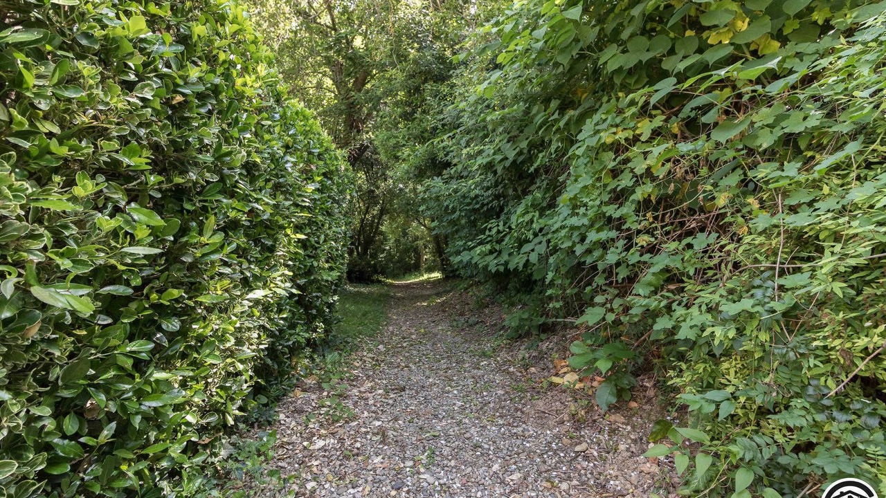 Photo of Outdoor in Fourquevaux