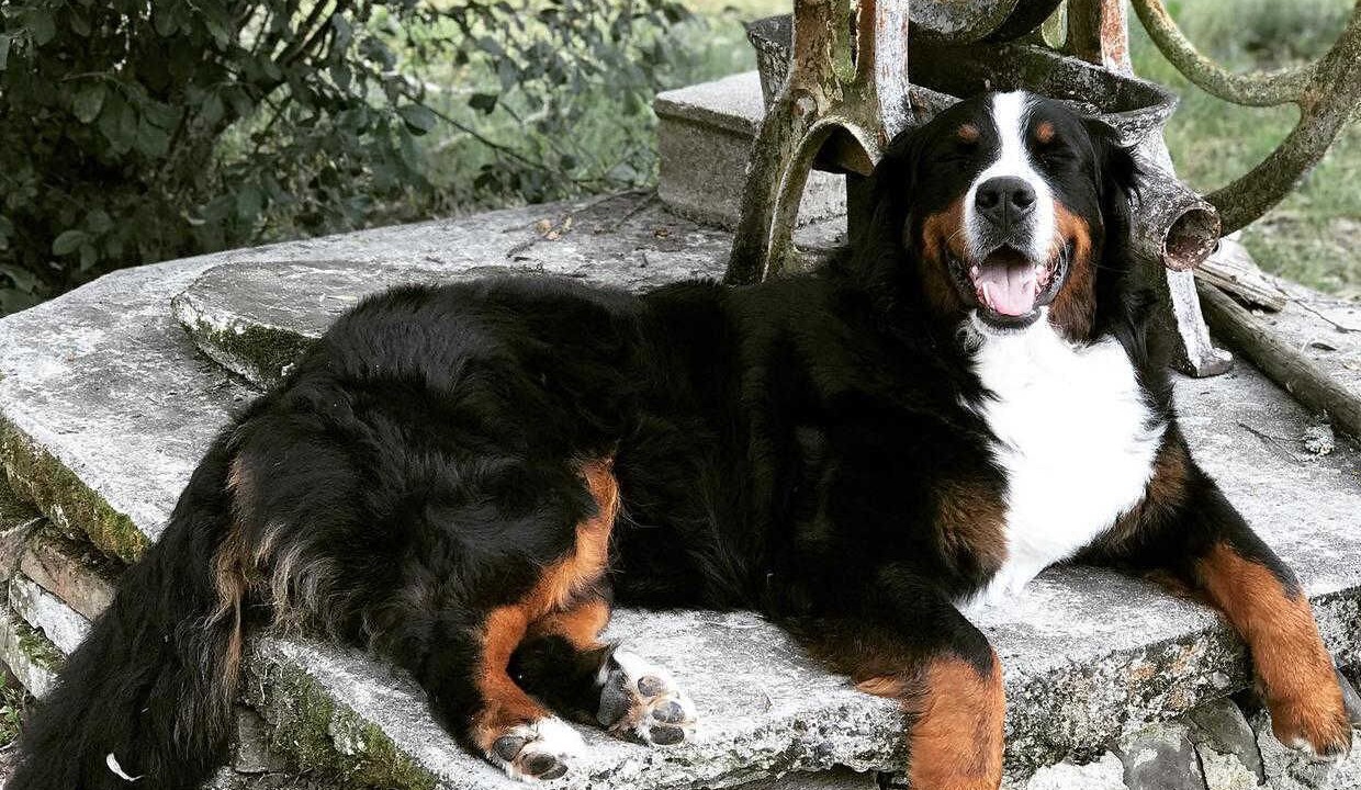 Photo of Others in Berat