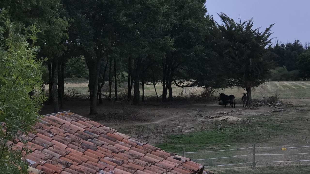 Photo of Others in Berat