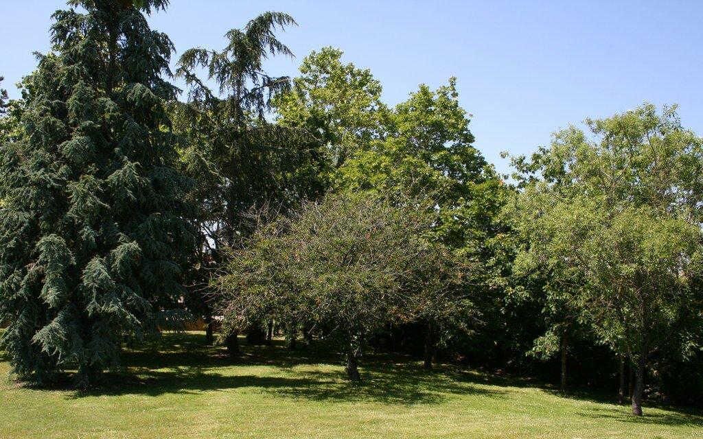 Photo of Outdoor in Aussonne