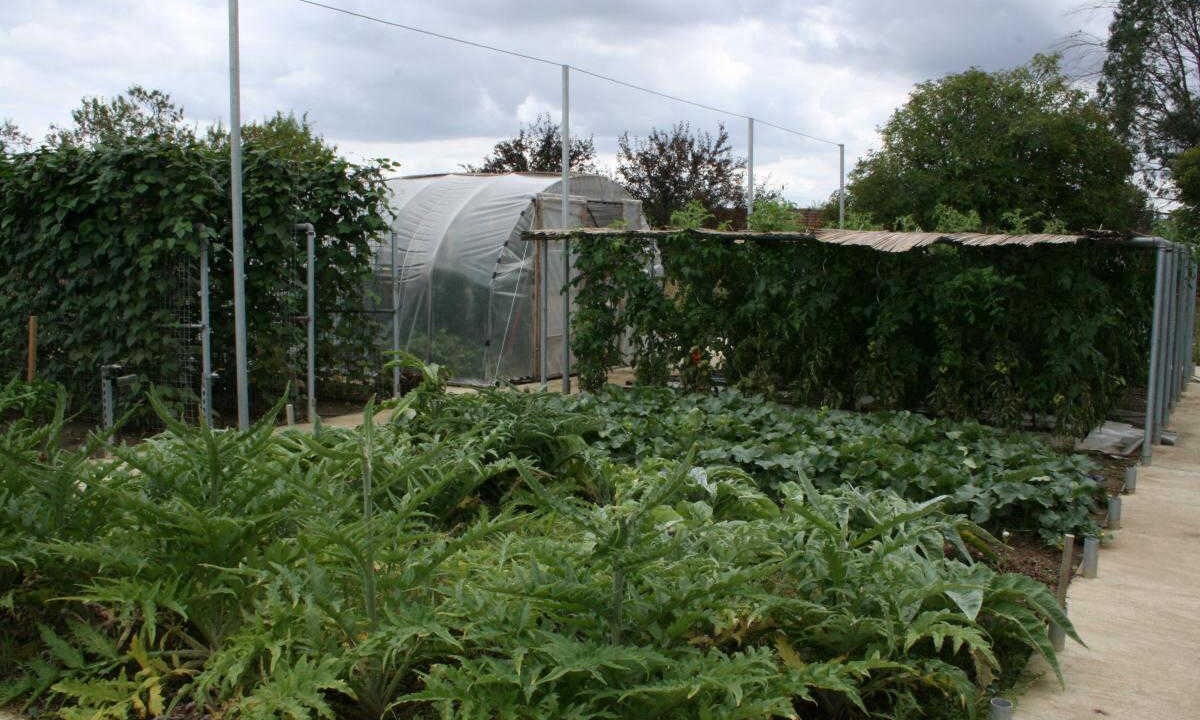 Photo of Outdoor in Aussonne