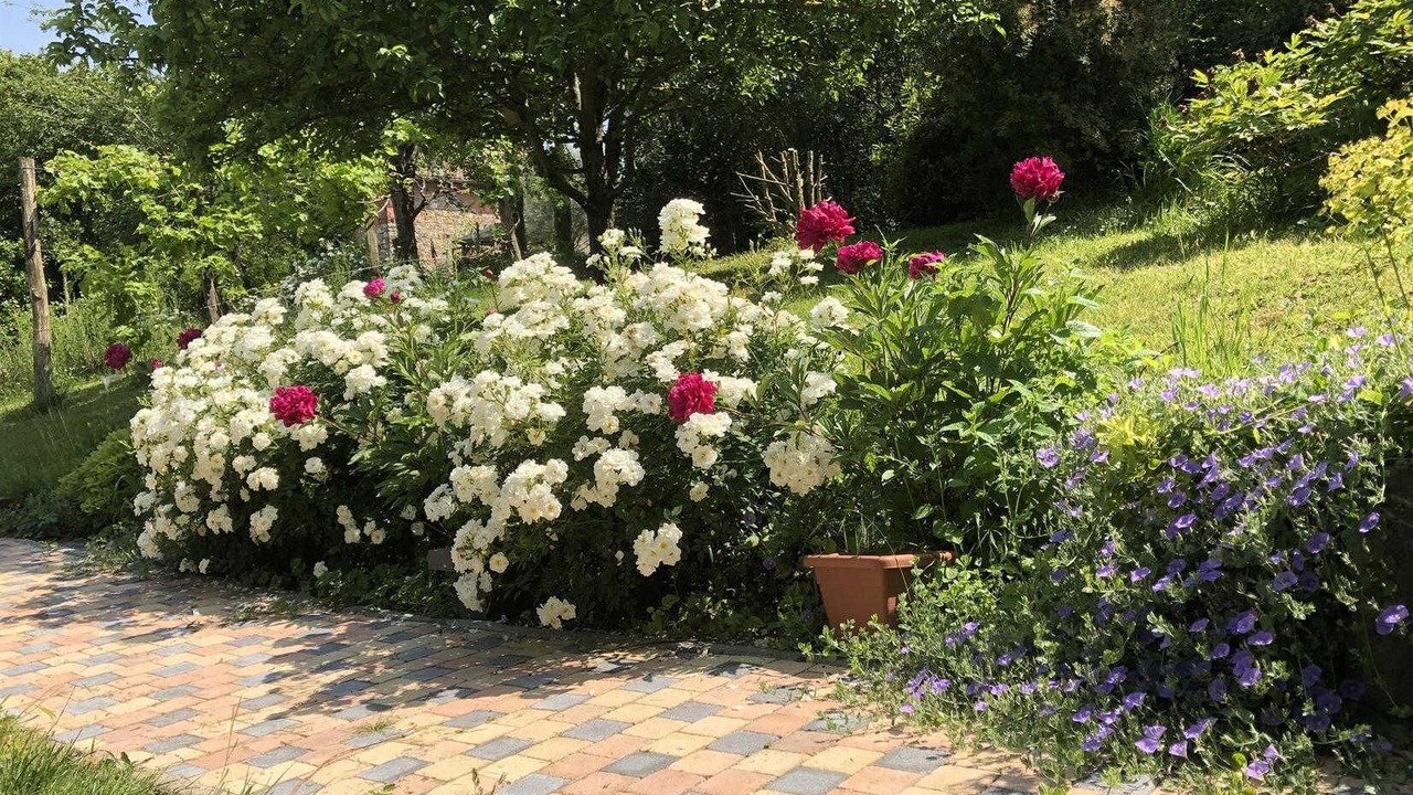 Photo of Outdoor in Alan