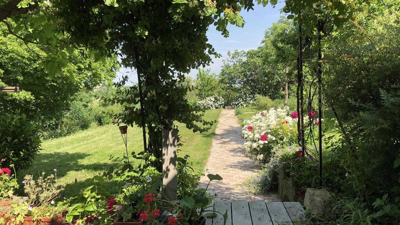 Photo of Outdoor in Alan