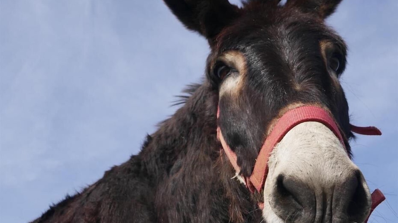 Photo of Others in Franquevielle