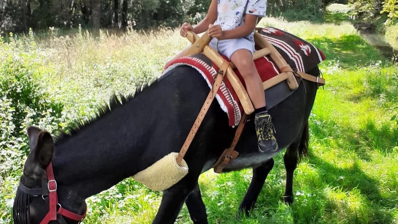 Photo of Others in Franquevielle