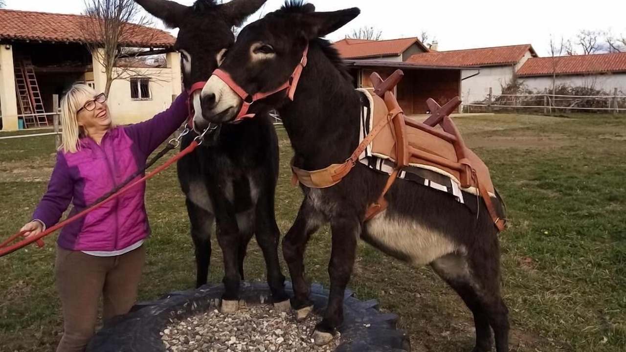 Photo of Outdoor in Franquevielle