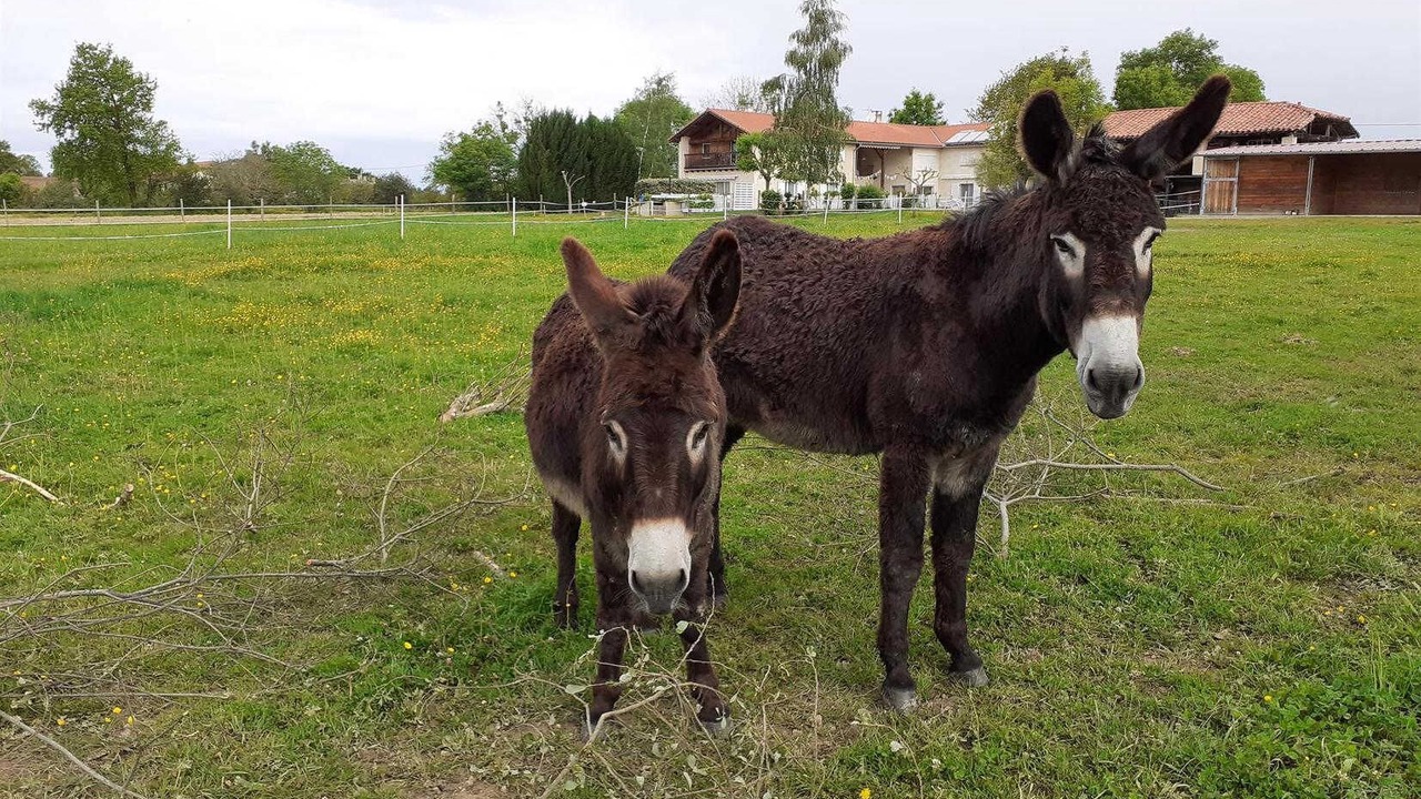 Photo of Others in Franquevielle