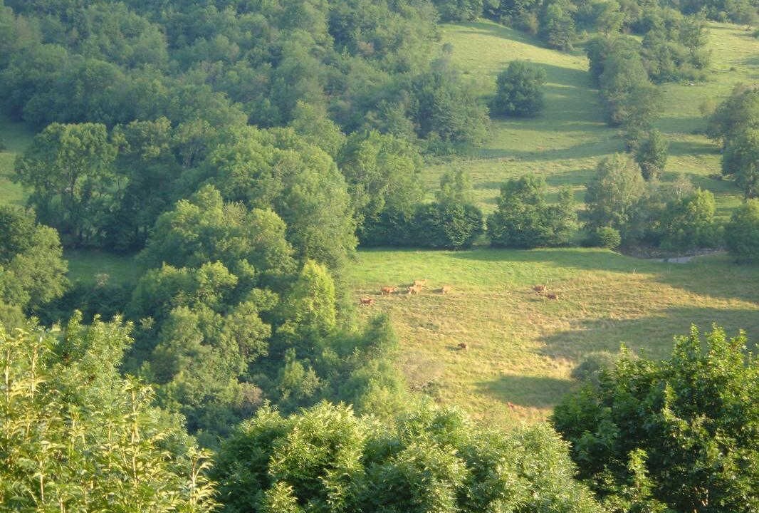 Photo of Outdoor in Peyragudes