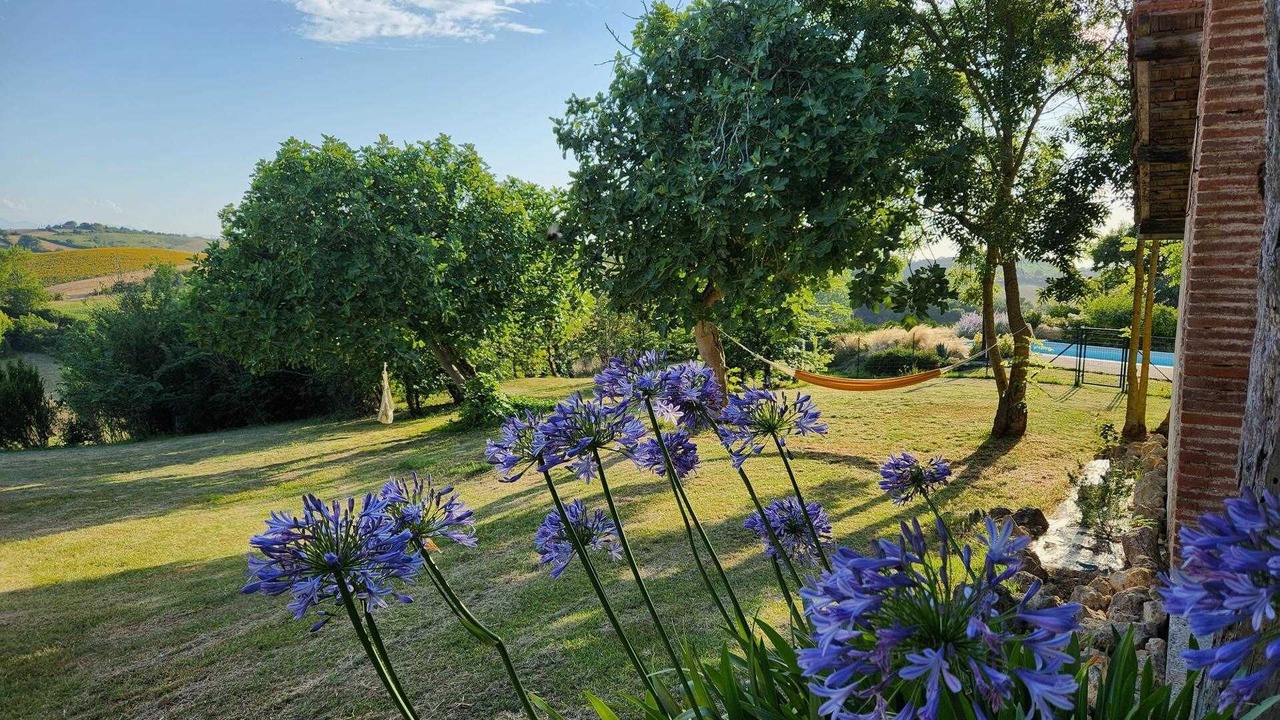 Photo of Outdoor in Canens