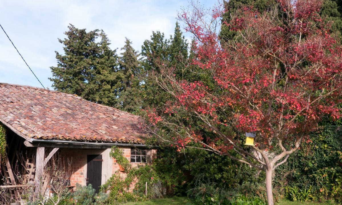 Photo of Outdoor in Riolas