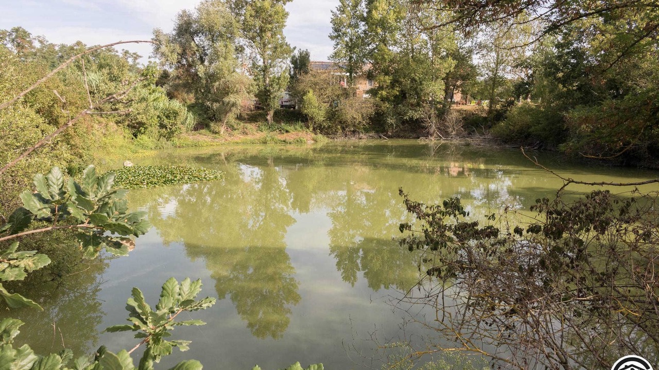Photo of Outdoor in Saint-Jory