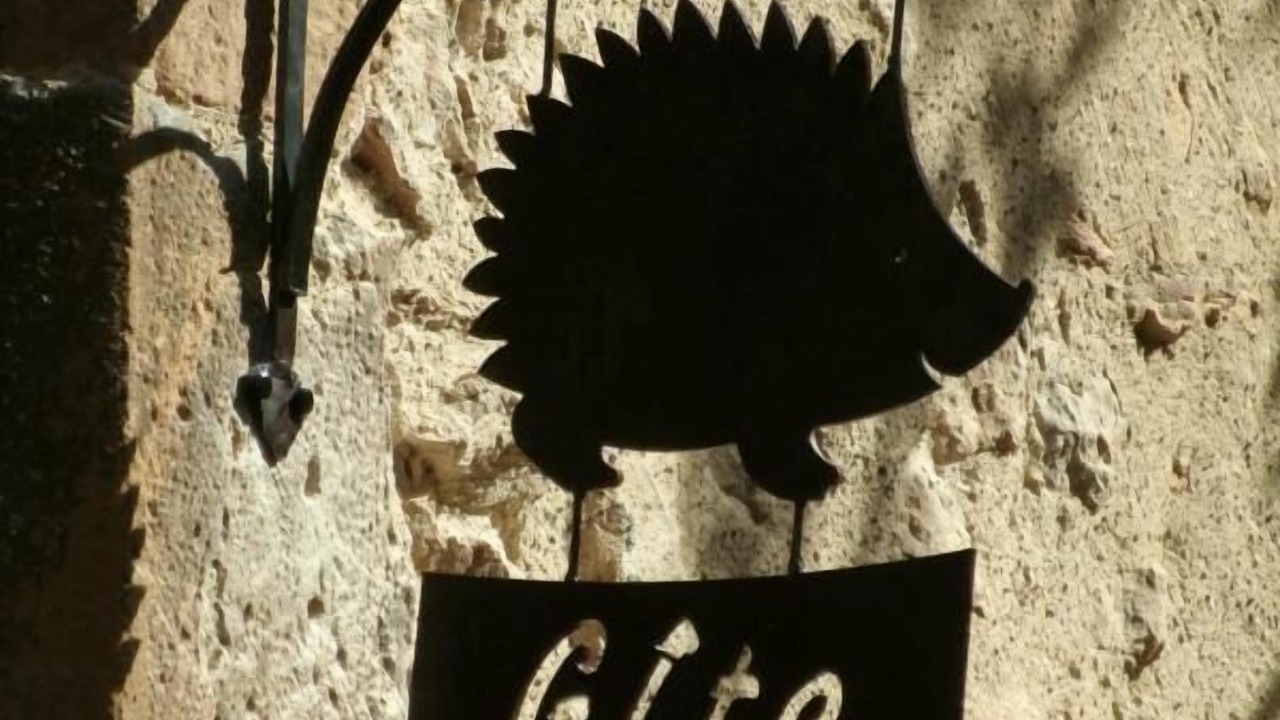 Photo of Outdoor in Aurignac