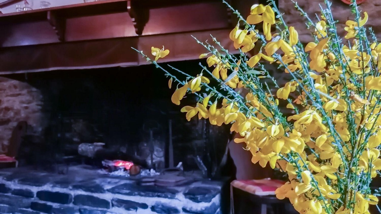 Photo of Livingroom in Melles