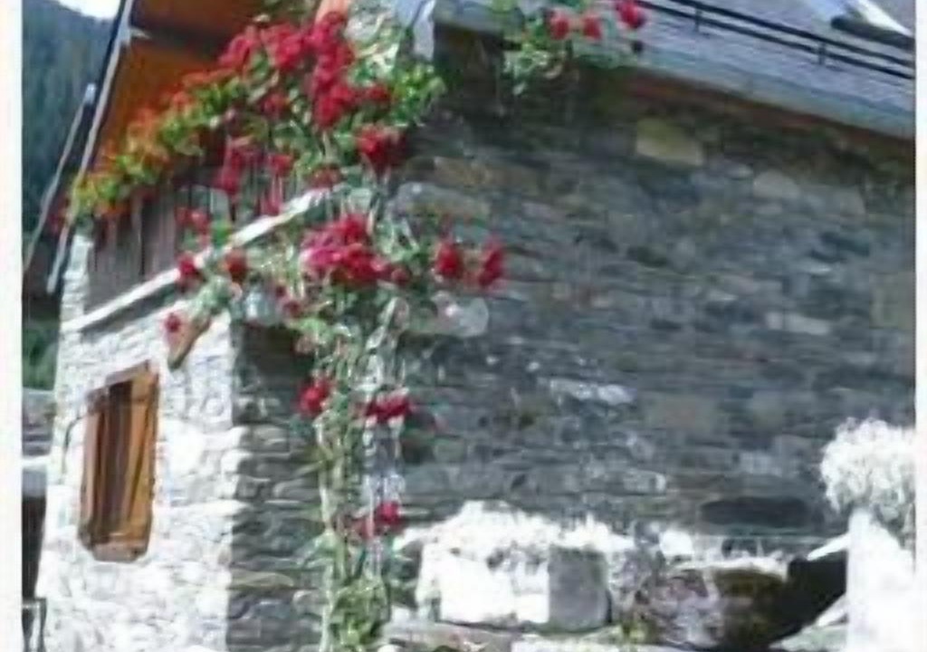 Photo of Outdoor in Cires