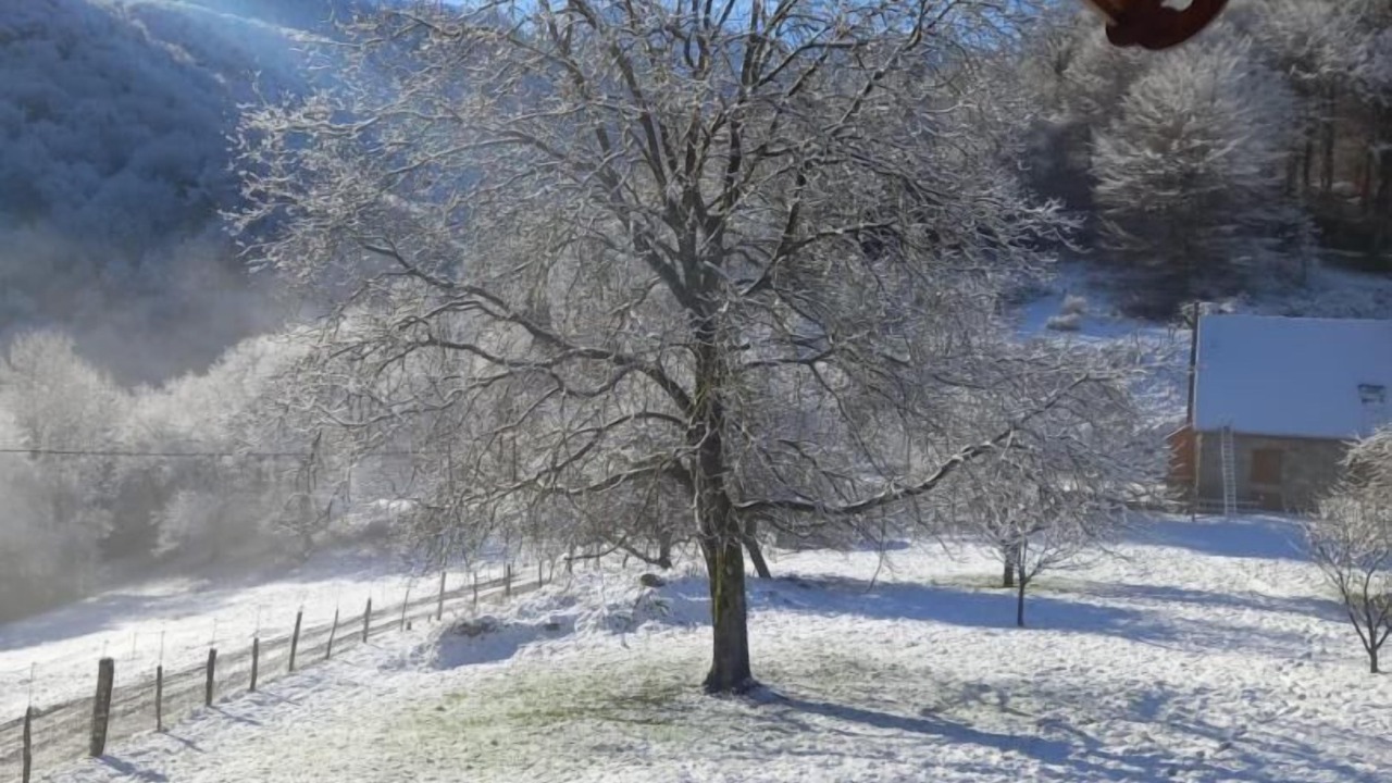 Photo of Outdoor in Clarac