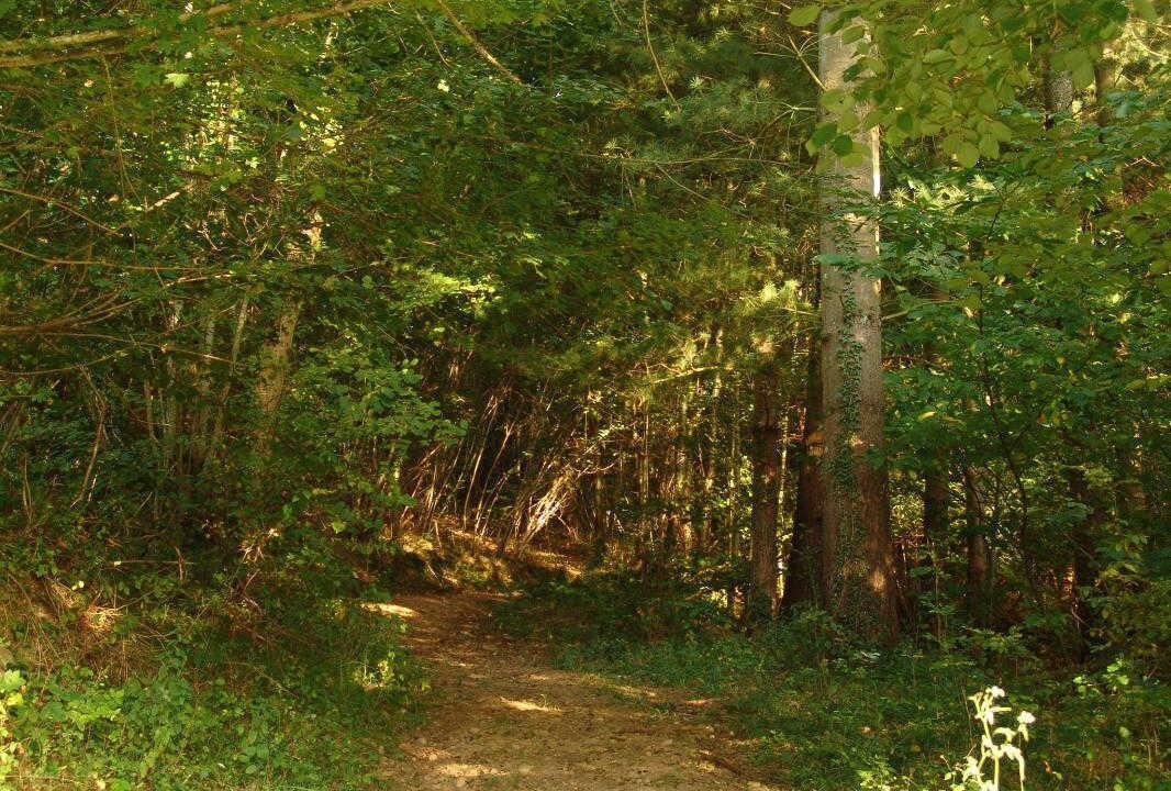 Photo of Others in Estadens