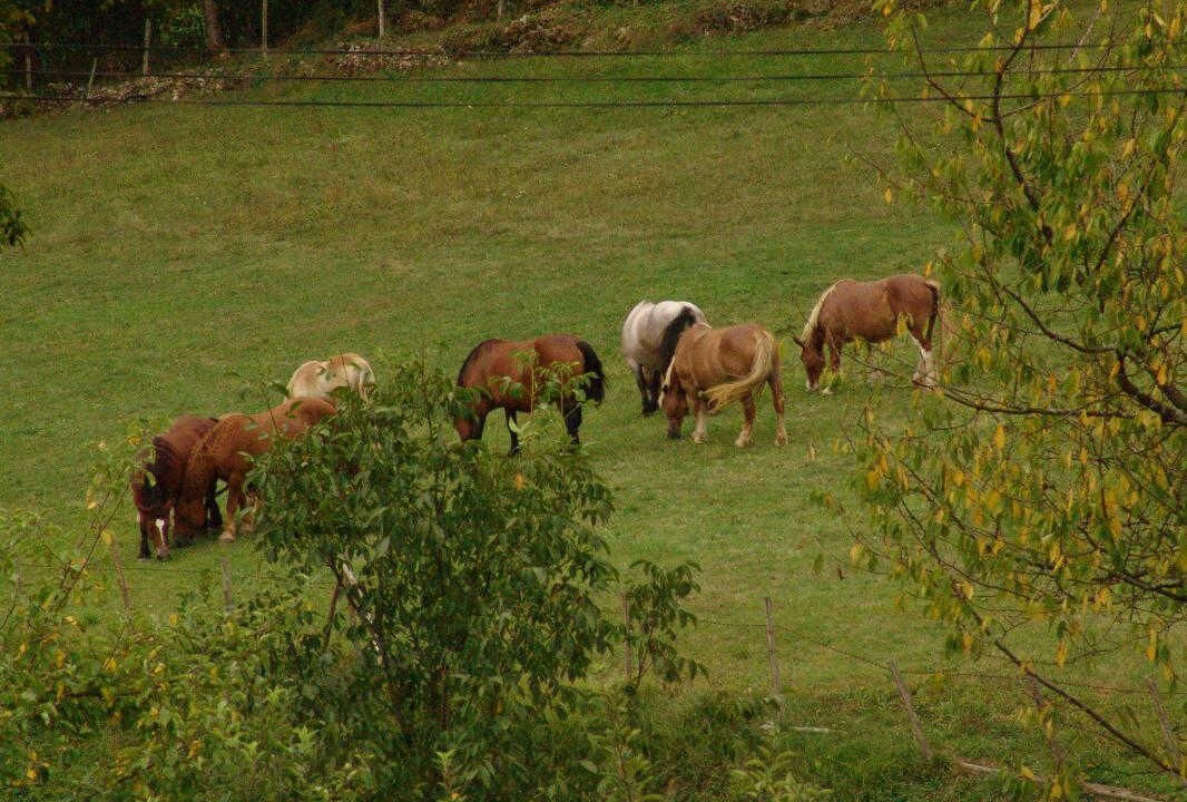 Photo of Others in Estadens