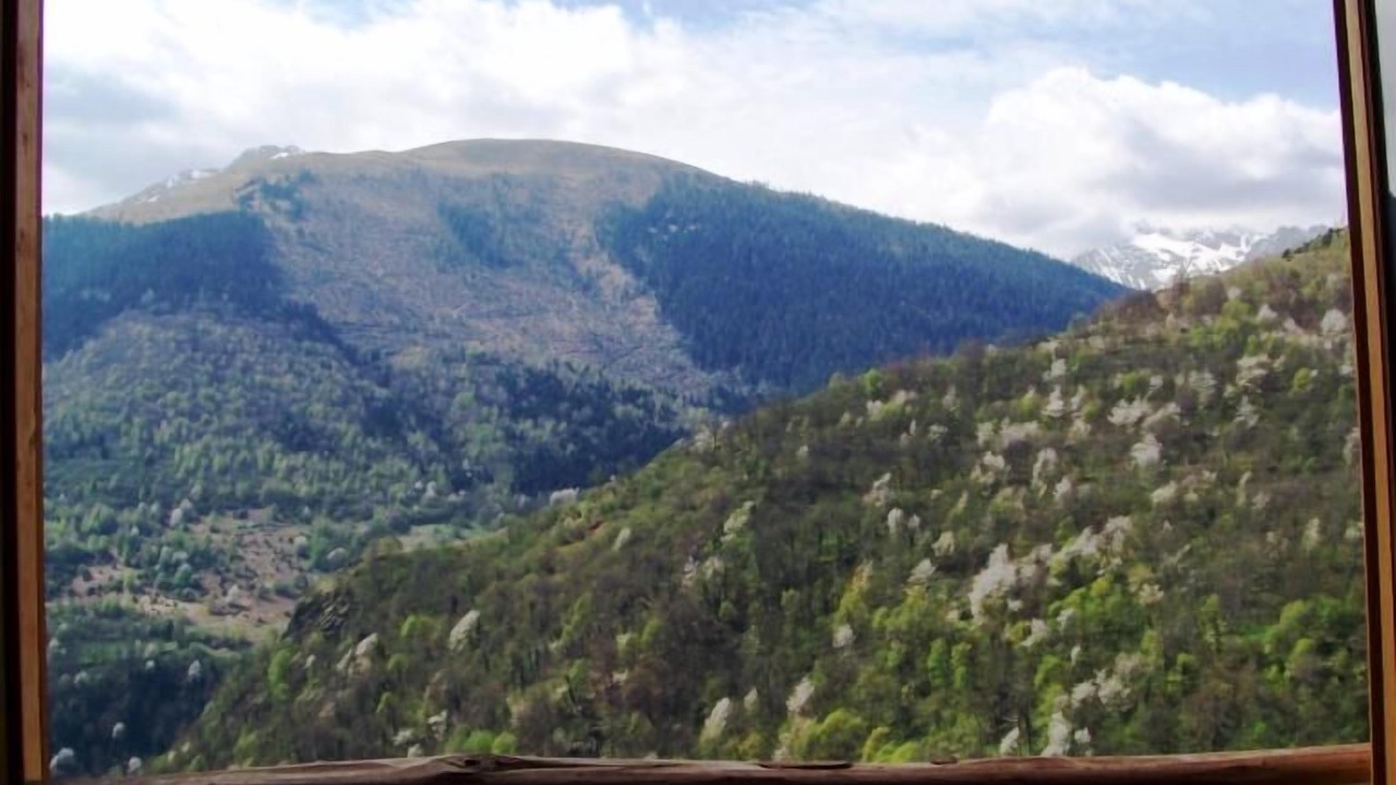 Photo of Others in Saccourvielle