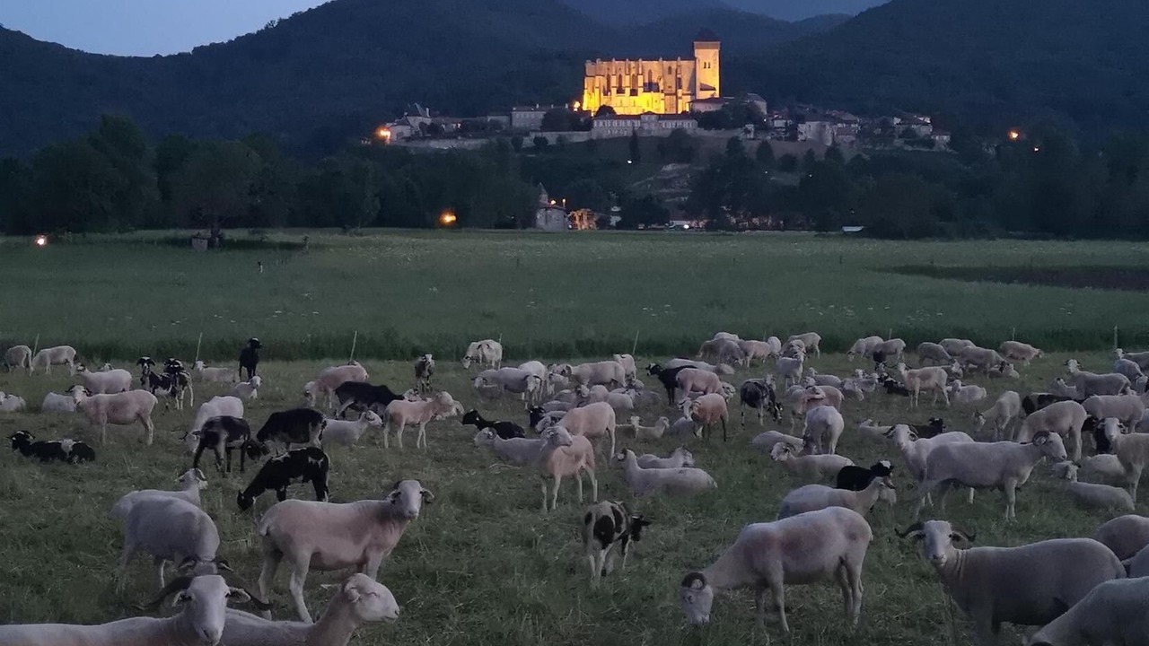 Photo of Outdoor in Valcabere