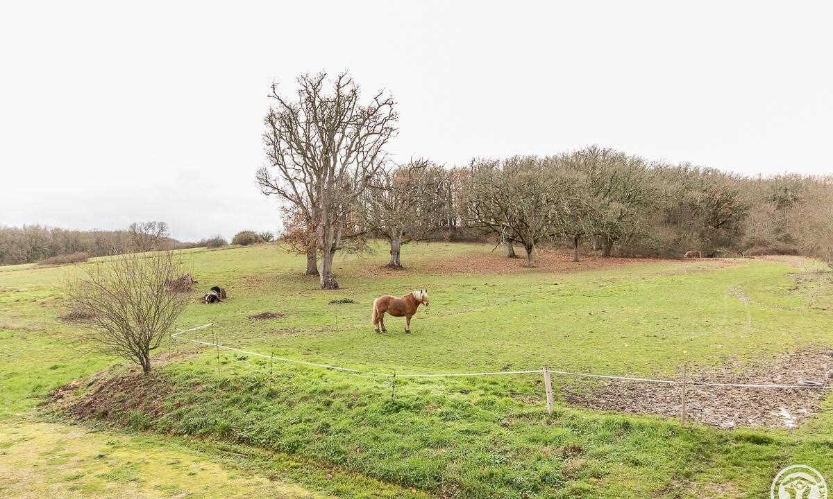 Photo of Bathroom in Muret