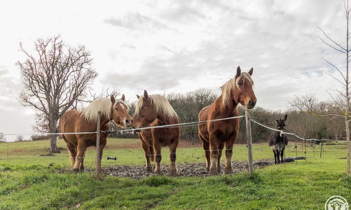 Photo of Others in Muret