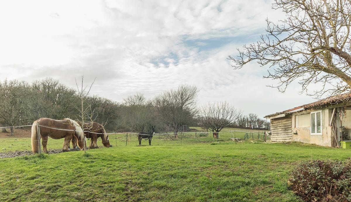 Photo of Others in Muret