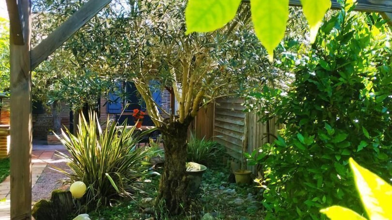 Photo of Outdoor in Levignac