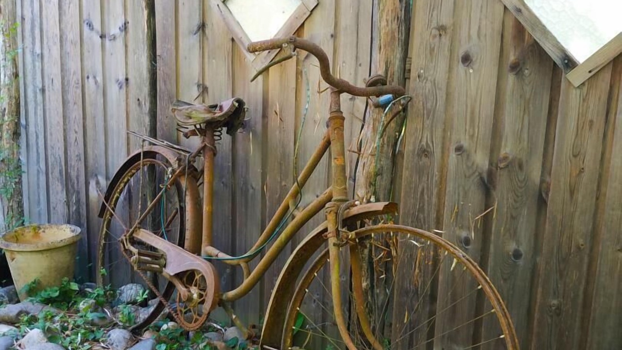 Photo of Outdoor in Levignac