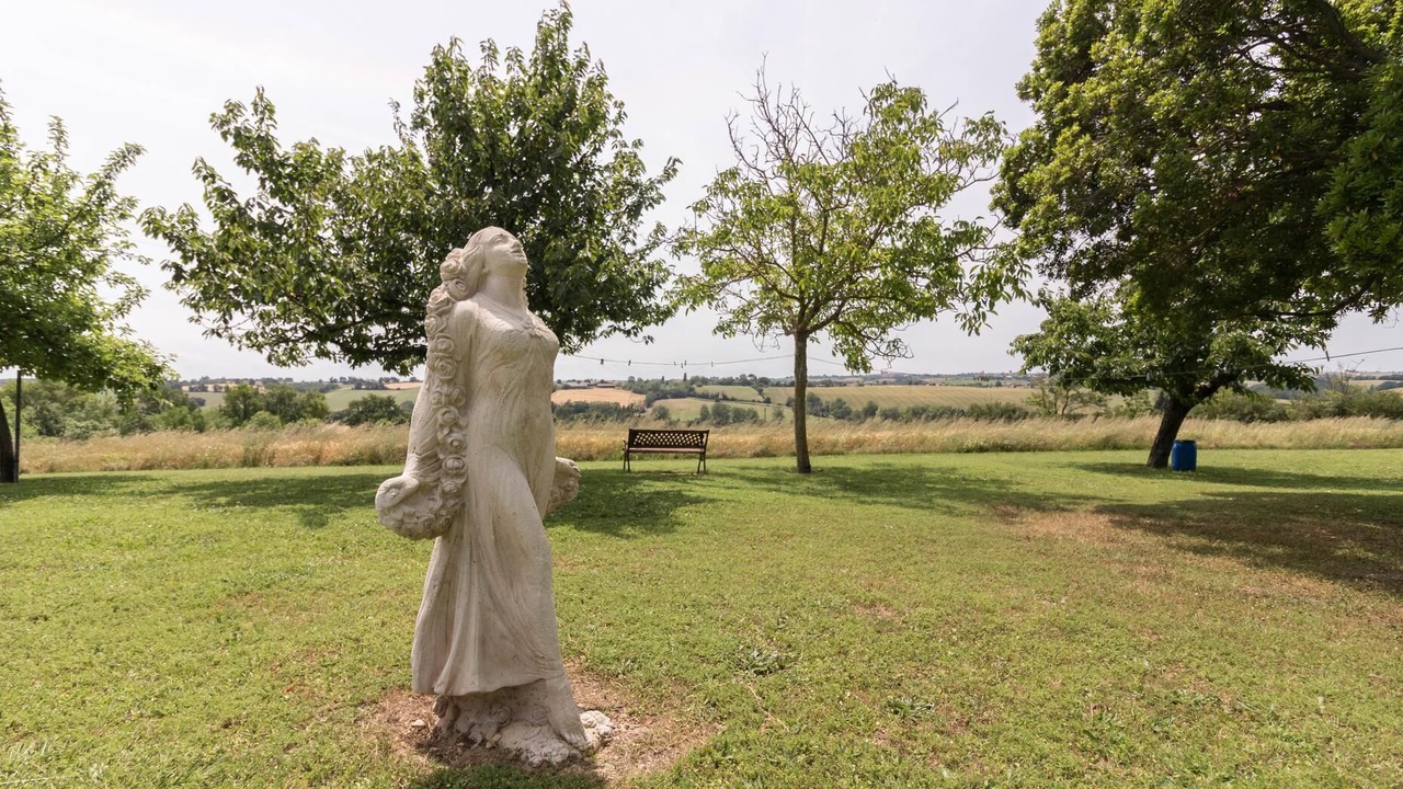 Photo of Others in La Salvetat-Lauragais