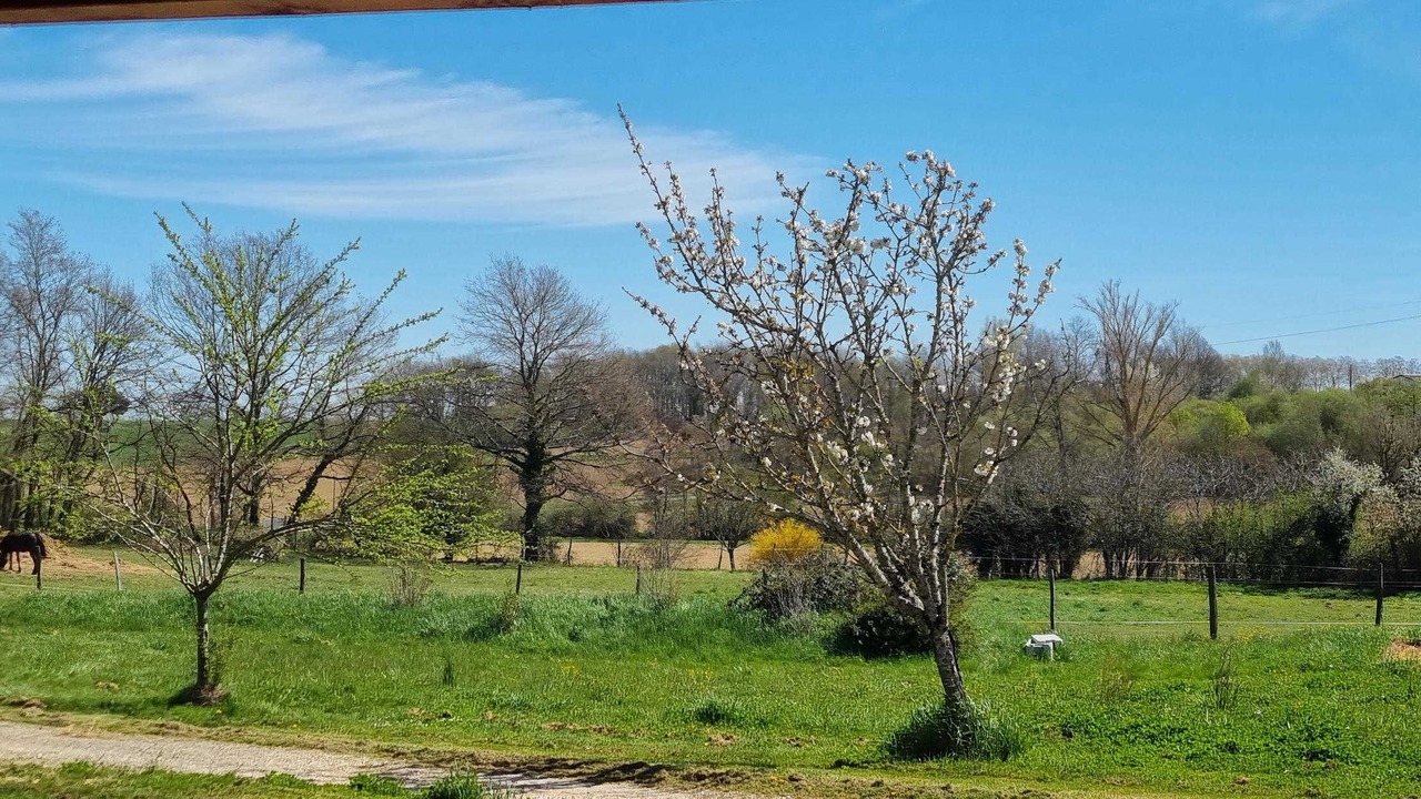 Photo of Others in Thil