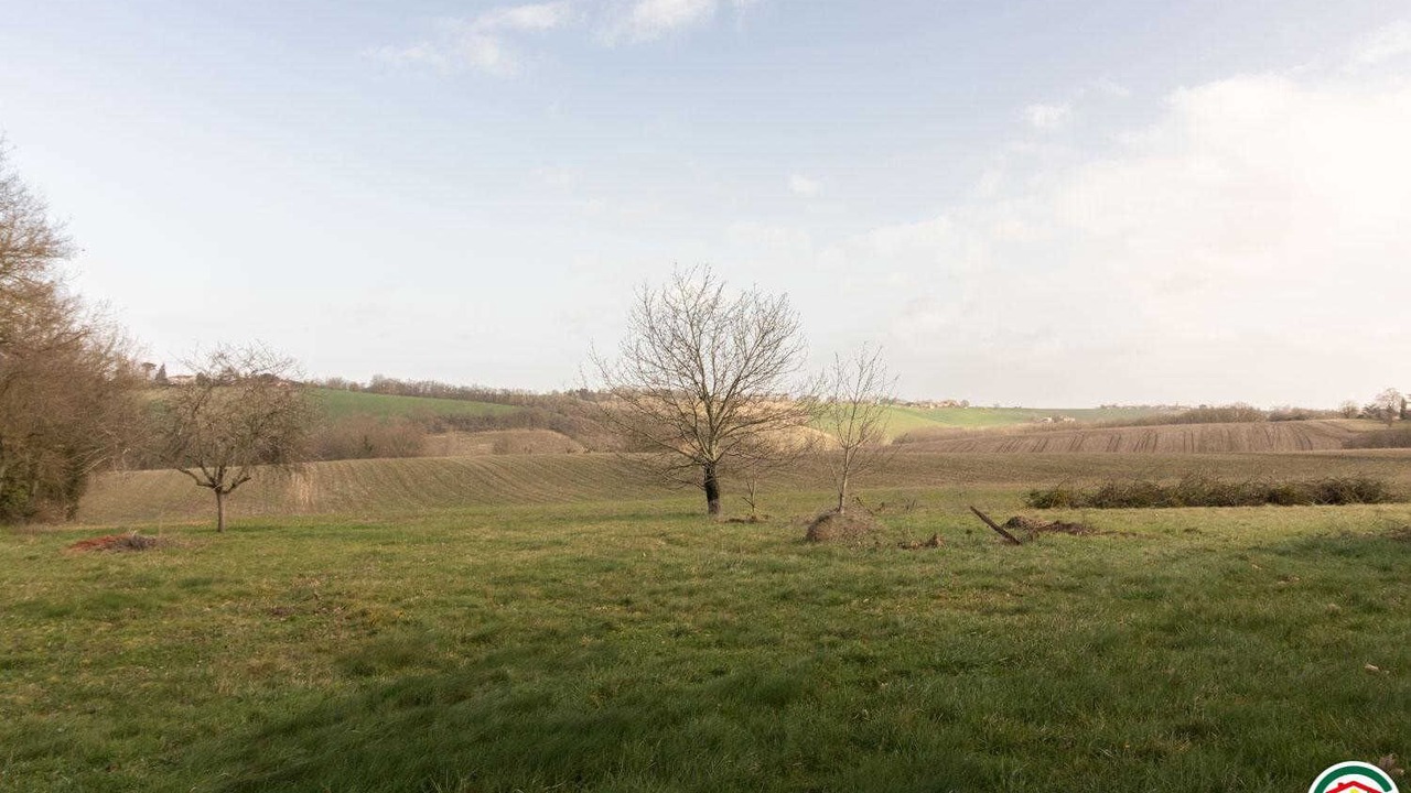 Photo of Others in Verfeil