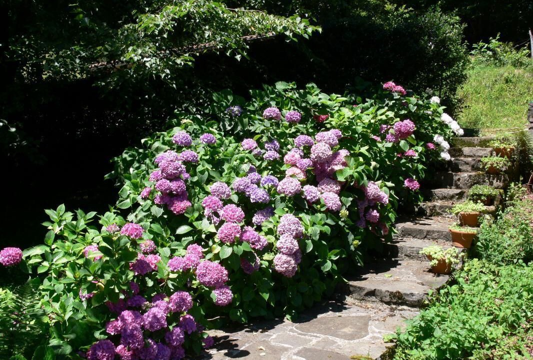 Photo of Outdoor in Fougaron