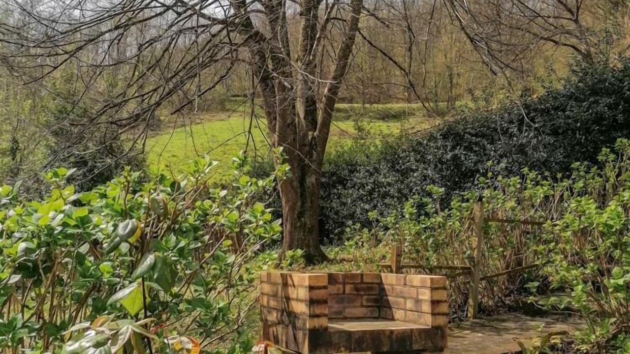 Photo of Outdoor in Fougaron