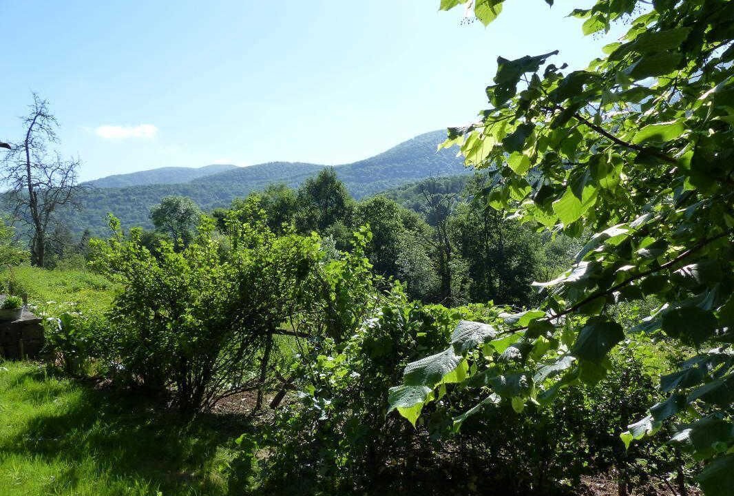 Photo of Outdoor in Fougaron
