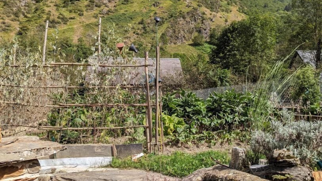 Photo of Outdoor in Peyragudes