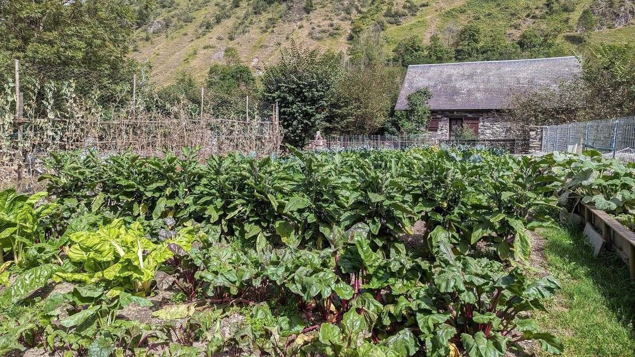 Photo of Outdoor in Peyragudes