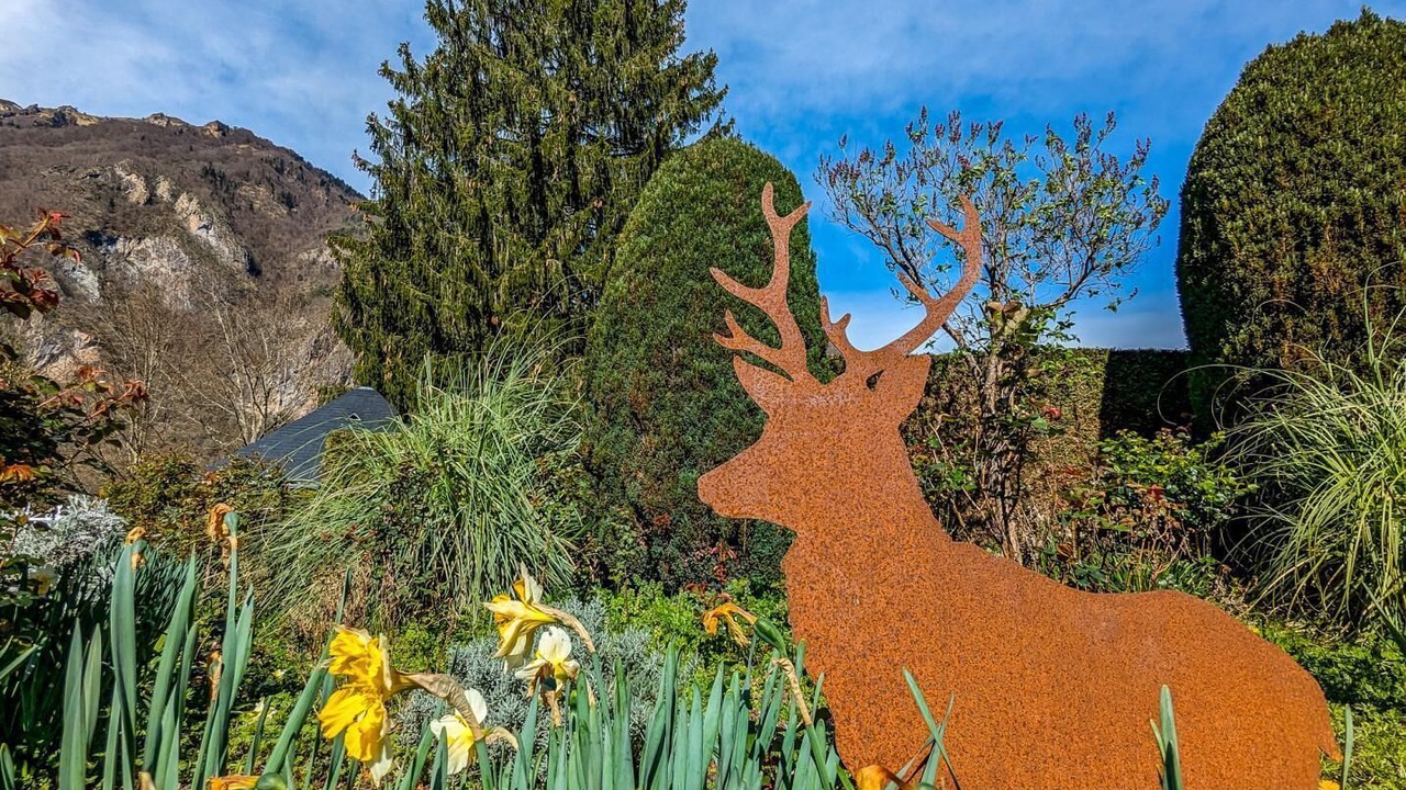 Photo of Outdoor in Cier-de-Luchon