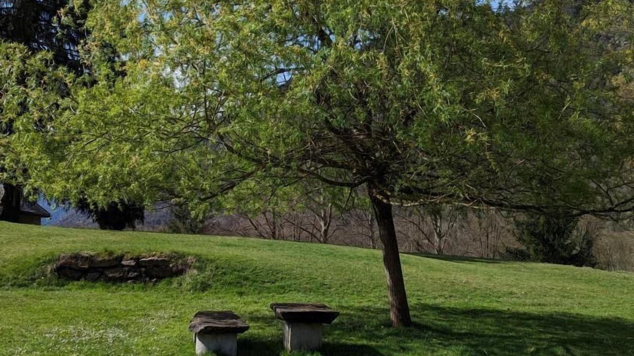 Photo of Outdoor in Cier-de-Luchon