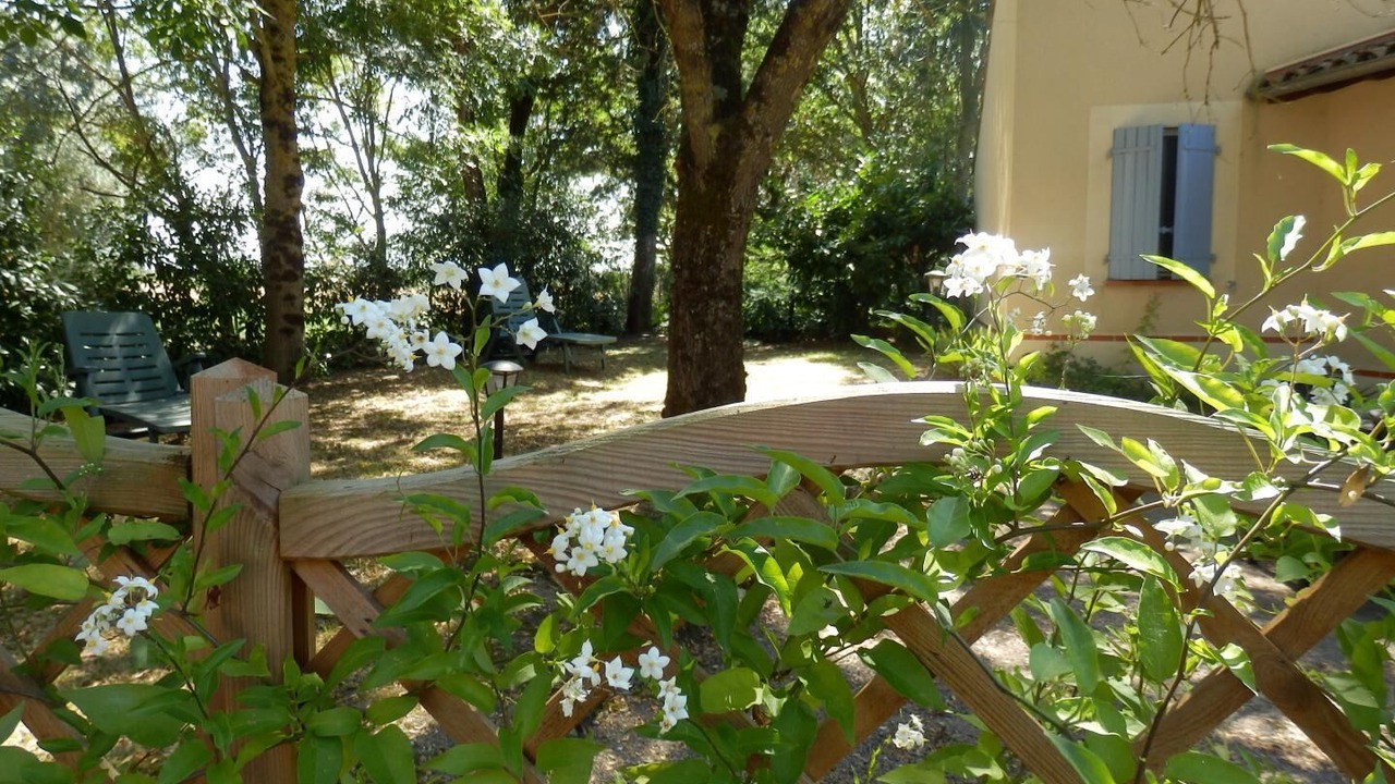Photo of Outdoor in Saint-Felix-Lauragais
